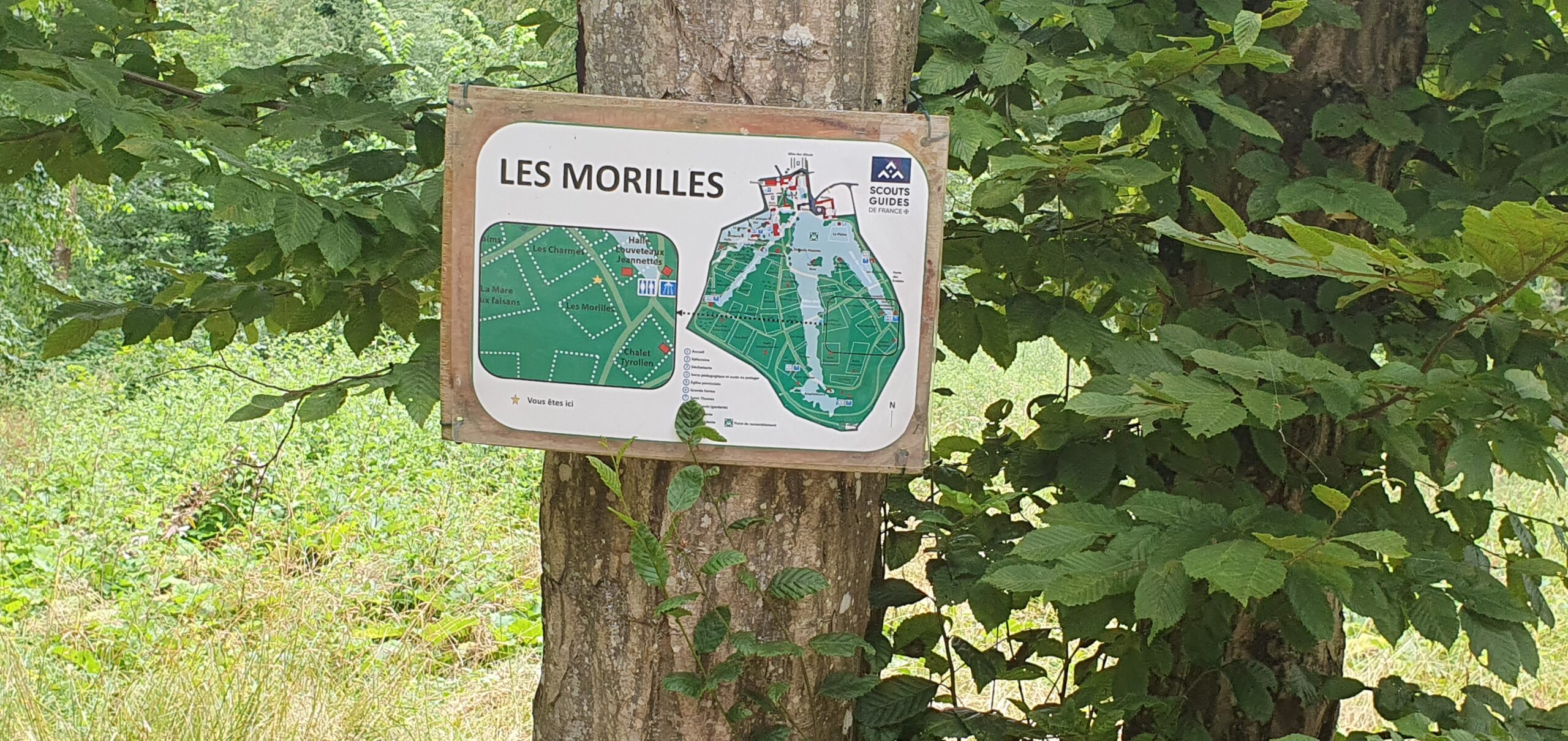 Les Morilles, et nulle part ailleurs