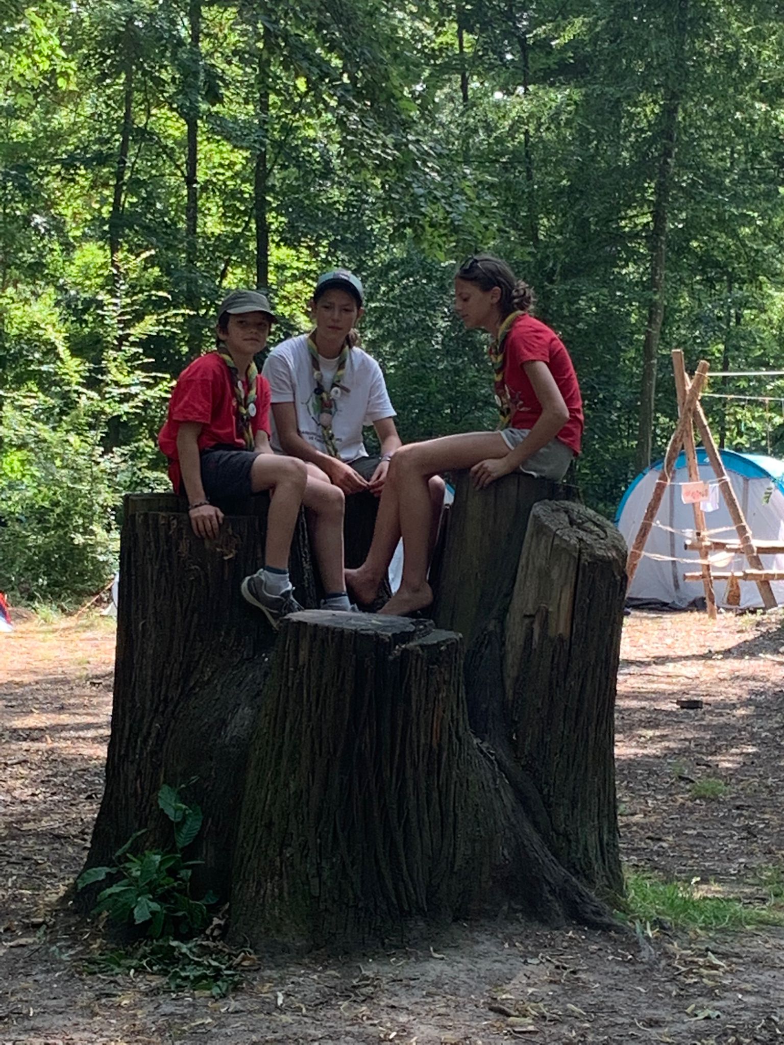 J4 Nous aimons les situations élévées